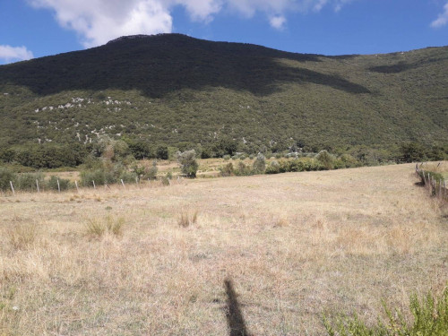 Terreno Agricolo  in <br/> vendita a Capaccio