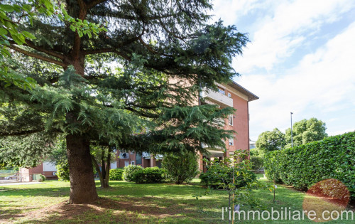 Appartamento  in <br/> affitto a Verona