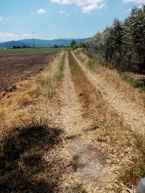 Terreno agricolo in vendita a Paestum, Capaccio Paestum (SA)