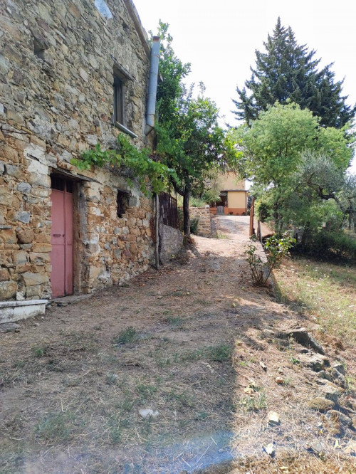 Terreno agricolo in vendita a Castel San Lorenzo (SA)