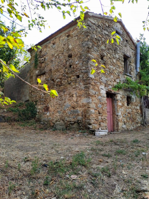 Terreno agricolo in vendita a Castel San Lorenzo (SA)