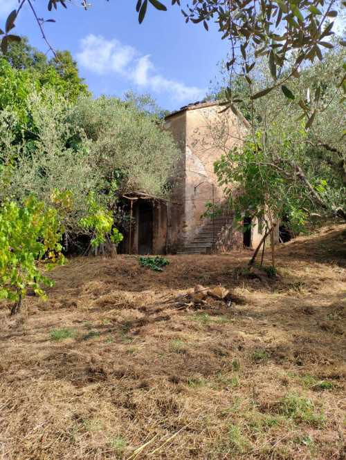 Terreno agricolo in vendita a Castel San Lorenzo (SA)