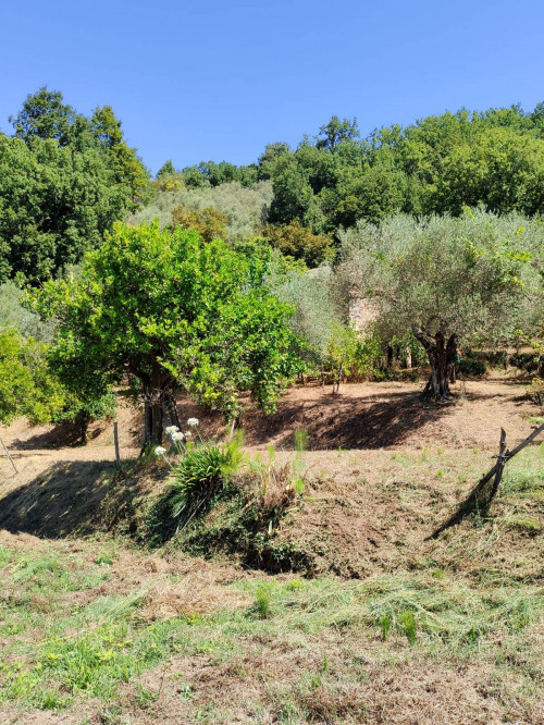 Terreno agricolo in vendita a Castel San Lorenzo (SA)