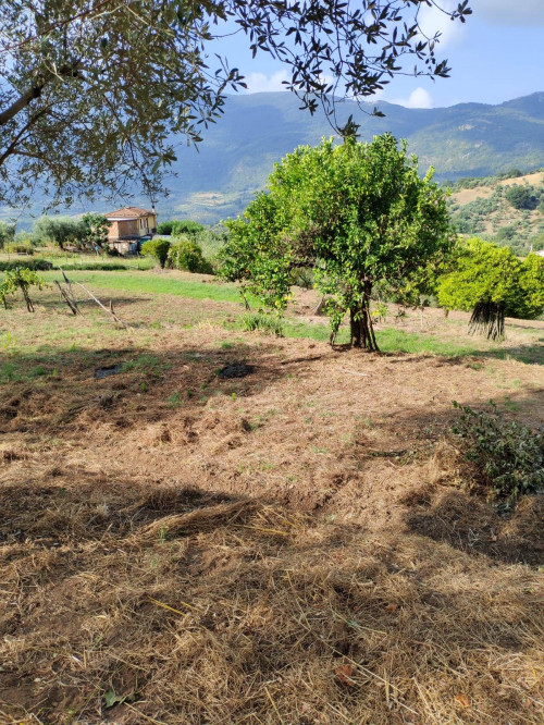 Terreno agricolo in vendita a Castel San Lorenzo (SA)