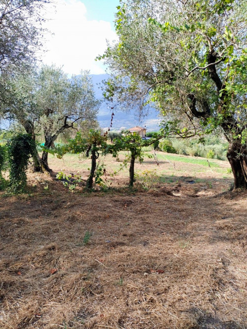 Terreno agricolo in vendita a Castel San Lorenzo (SA)