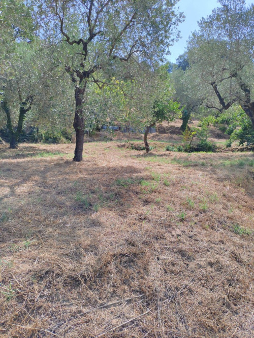 Terreno agricolo in vendita a Castel San Lorenzo (SA)