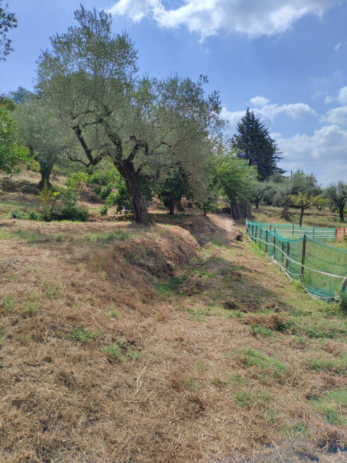 Terreno agricolo in vendita a Castel San Lorenzo (SA)