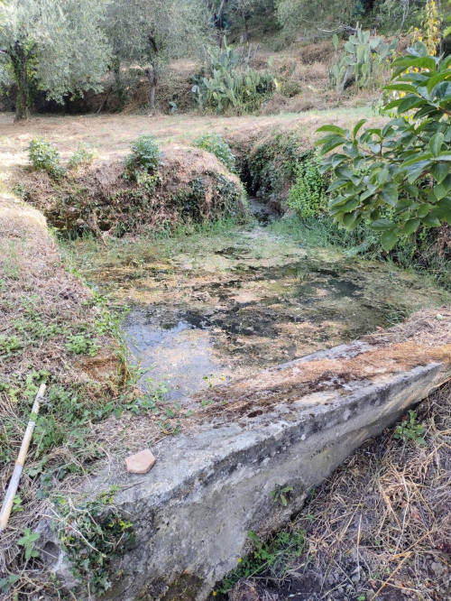 Terreno agricolo in vendita a Castel San Lorenzo (SA)