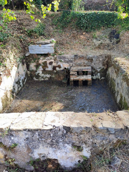 Terreno agricolo in vendita a Castel San Lorenzo (SA)