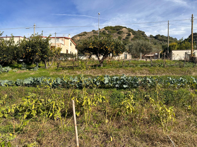 Terreno agricolo in vendita a Borgia (CZ)