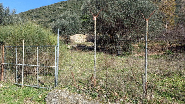 Terreno agricolo in vendita a Capaccio Paestum (SA)