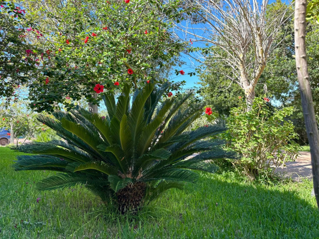 Villa in vendita a Lecce (LE)