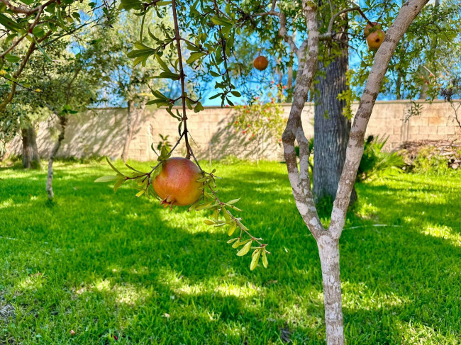 Villa in vendita a Lecce (LE)