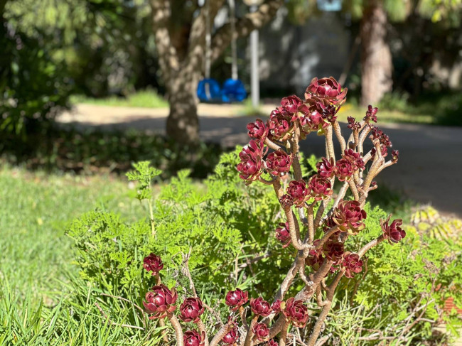 Villa in vendita a Lecce (LE)