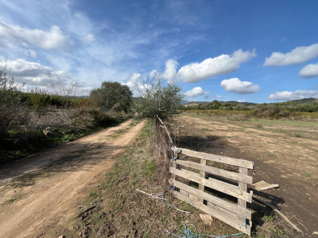 Terreno agricolo in vendita a Tortolì (NU)