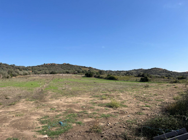 Terreno agricolo in vendita a Tortolì (NU)