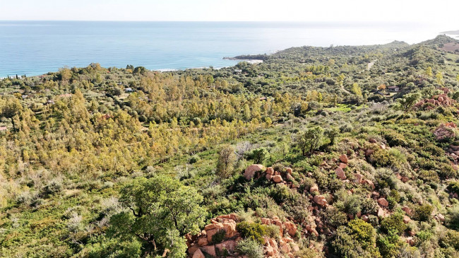 Terreno Agricolo  in <br/> vendita a 
