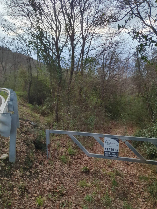 Terreno Agricolo  in <br/> vendita a Bellosguardo