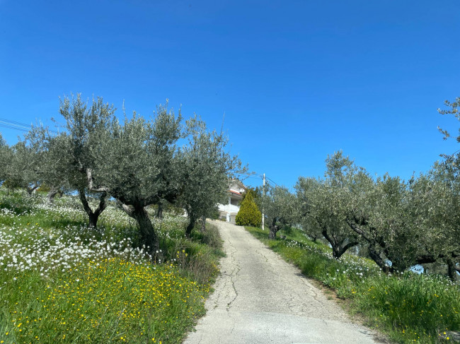 Villa Singola in vendita a Moscufo