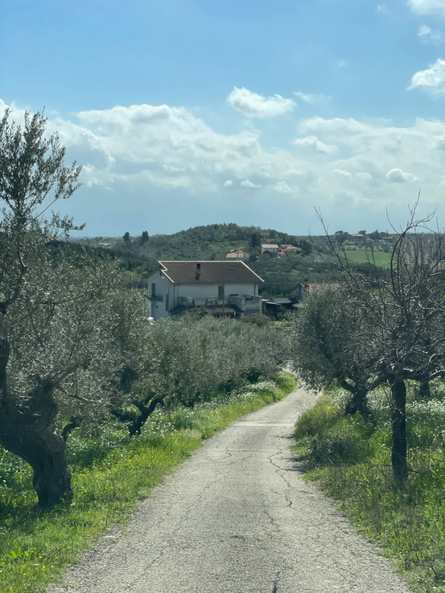 Villa Singola in vendita a Moscufo