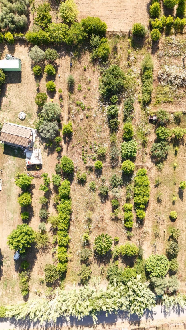 Terreno Agricolo  in <br/> vendita a 