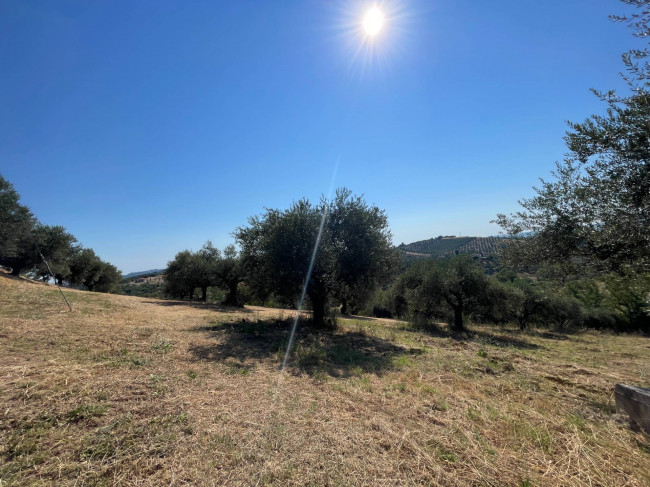 Villa Singola in vendita a Moscufo