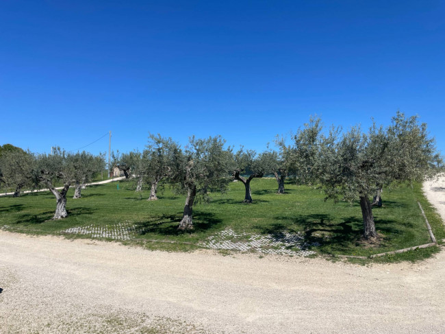 Villa Singola in vendita a Loreto Aprutino