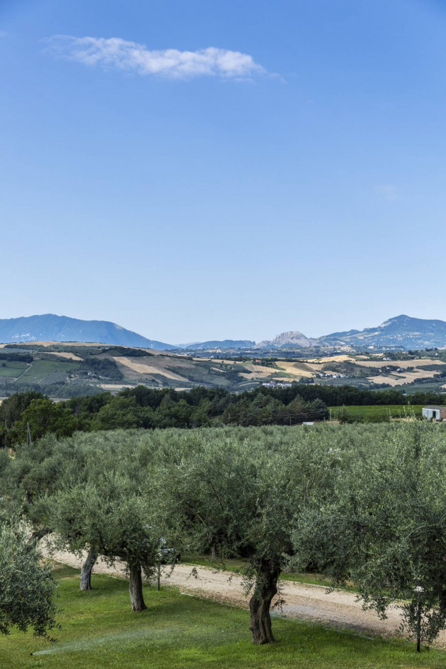 Villa Singola in vendita a Loreto Aprutino