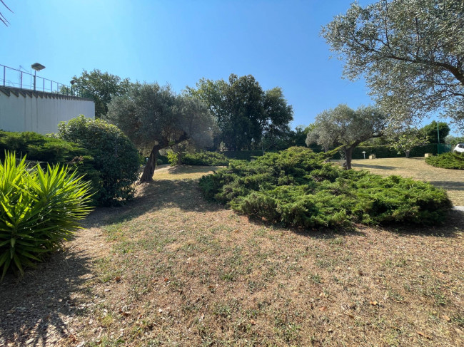 Villa Singola in vendita a Pescara