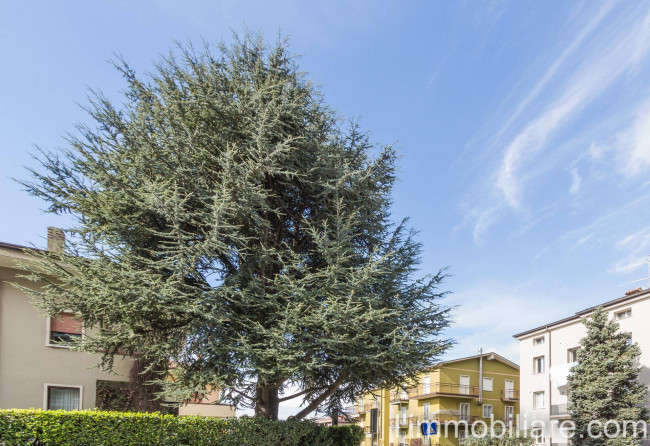 Appartamento  in <br/> vendita a Verona