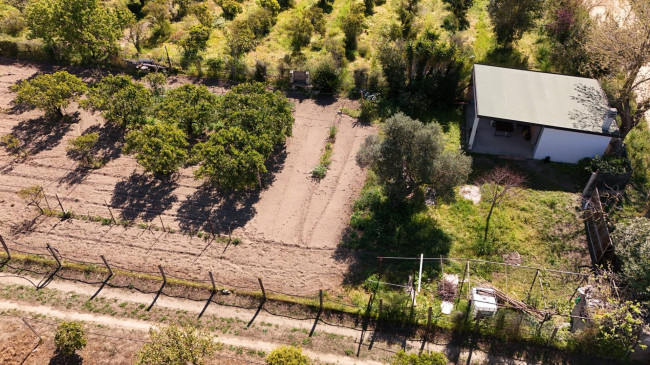 Terreno Agricolo  in <br/> vendita a 