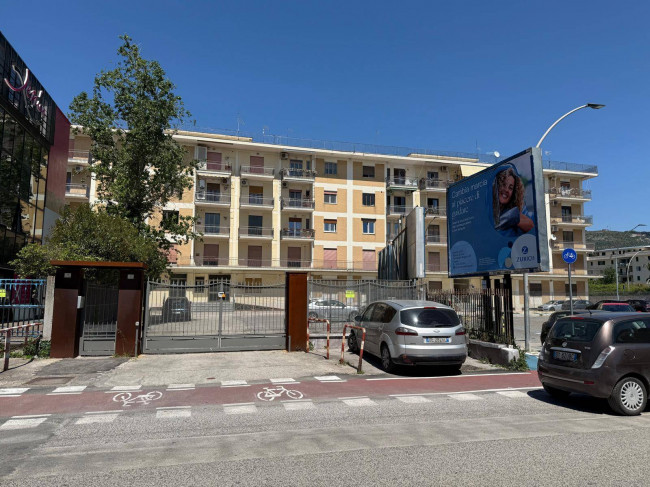   in <br/> rent a Caserta