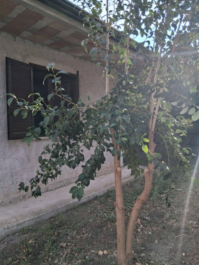 Villa Singola  in <br/> vendita a Capaccio