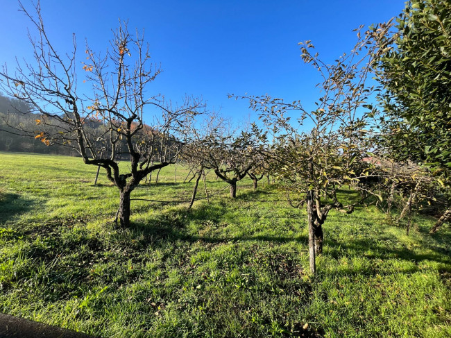 Villa in vendita a Brusasco