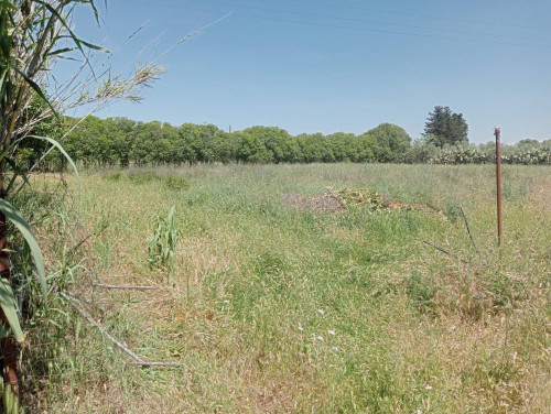 Terreno Agricolo in vendita a San Sperate