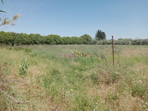 Terreno Agricolo in vendita a San Sperate