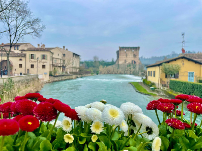 Casa singola in vendita a Valeggio sul Mincio