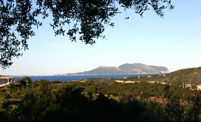  for sale in Olbia