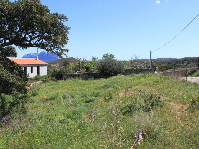 for sale in Olbia