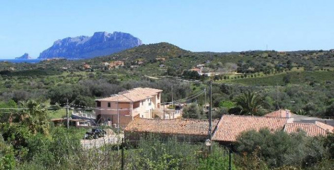  for sale in Olbia