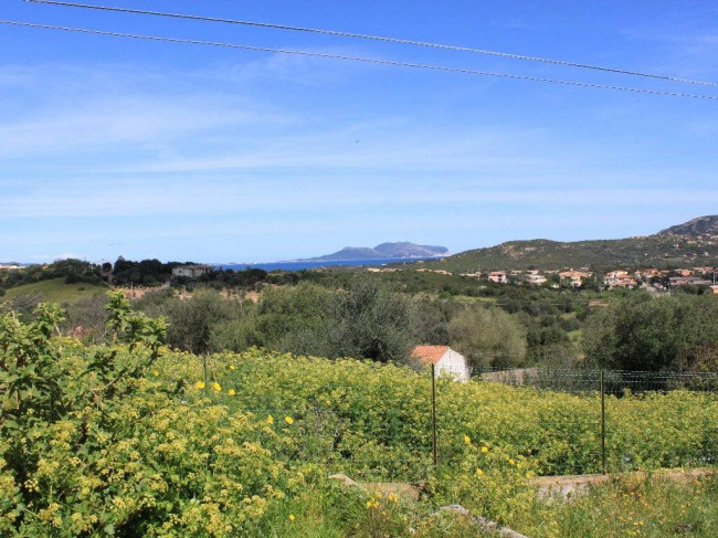  for sale in Olbia