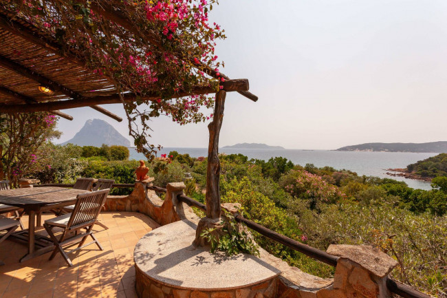  for sale in Loiri Porto San Paolo