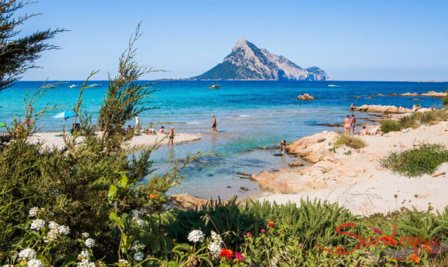 Appartamento in vendita a Loiri Porto San Paolo