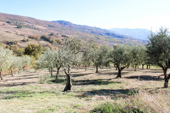 Casale in vendita a Palmoli