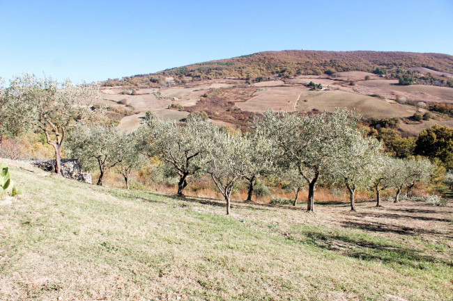 Casale in vendita a Palmoli