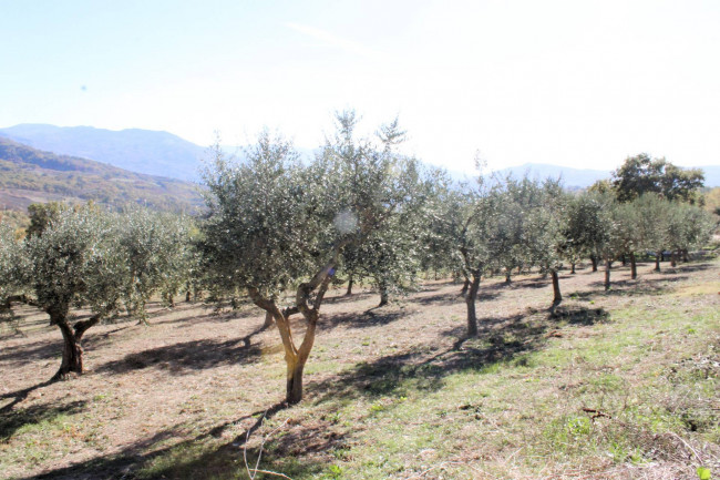 Casale in vendita a Palmoli