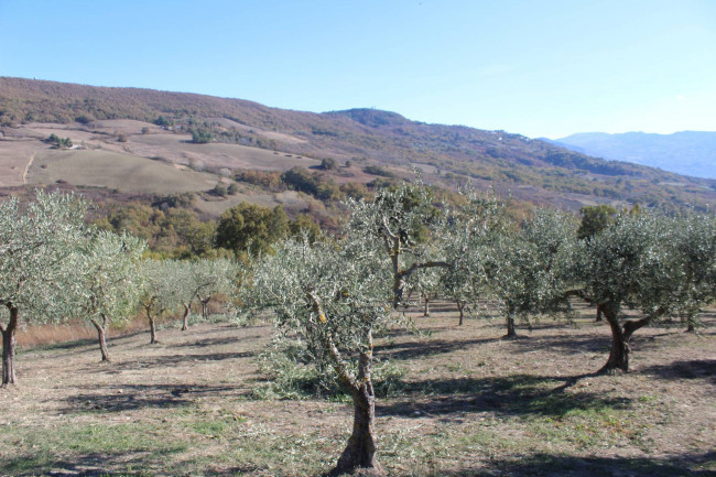 Casale in vendita a Palmoli