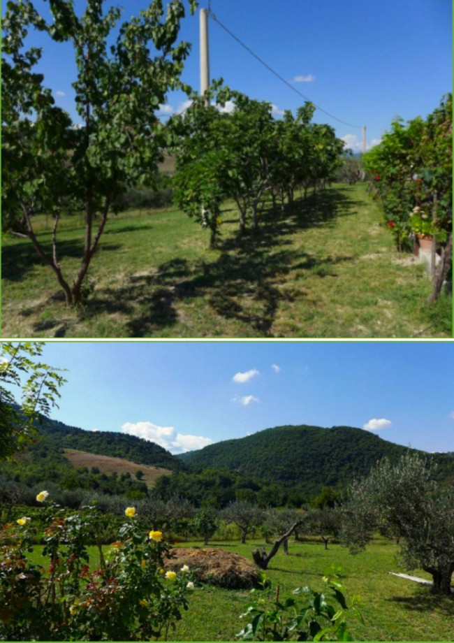 Azienda agrituristica in vendita a Carpineto Sinello (CH)