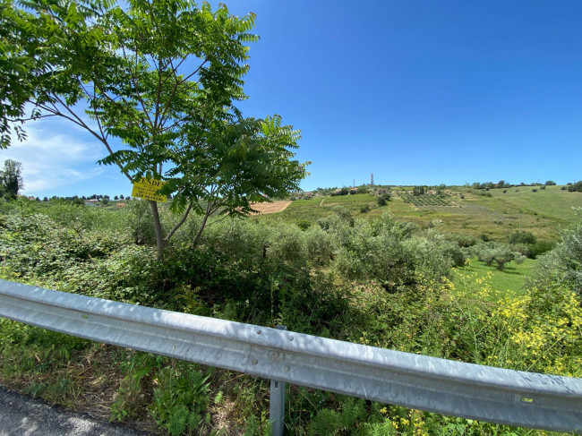 Terreno Agricolo in vendita a Cupello