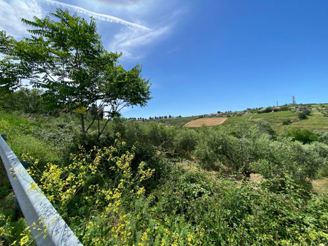 Terreno Agricolo in vendita a Cupello